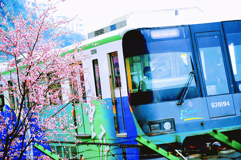 春日(rì)踏青賞花(huā) 共慶“三八”佳節(圖4)