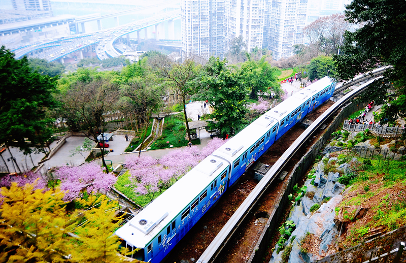 春日(rì)踏青賞花(huā) 共慶“三八”佳節(圖5)