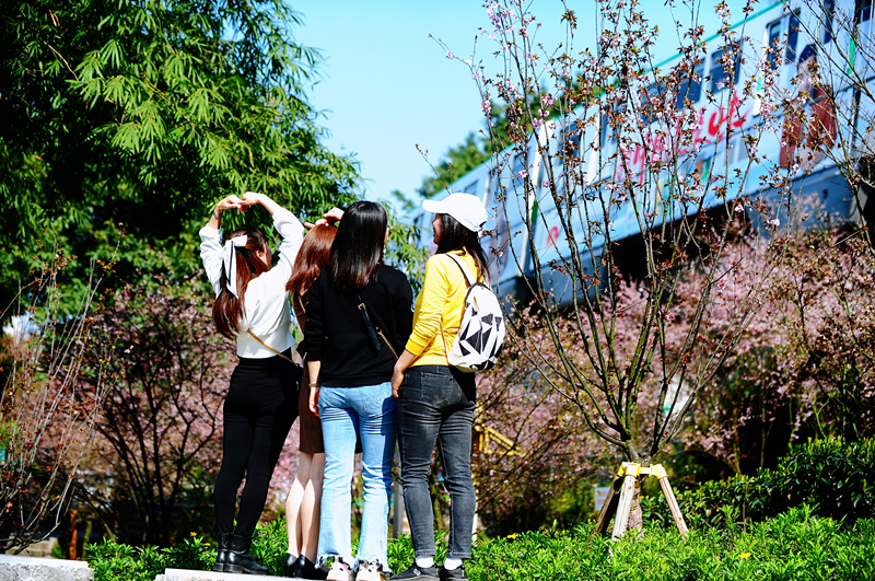 春日(rì)踏青賞花(huā) 共慶“三八”佳節(圖7)